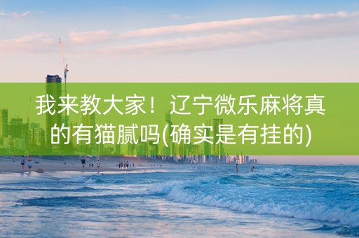 我来教大家！辽宁微乐麻将真的有猫腻吗(确实是有挂的)