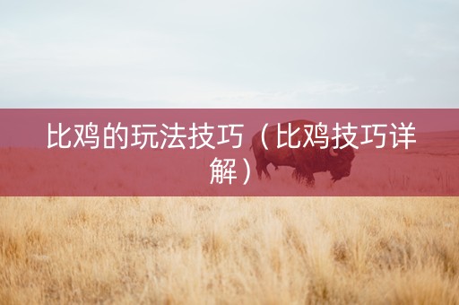 比鸡的玩法技巧（比鸡技巧详解）