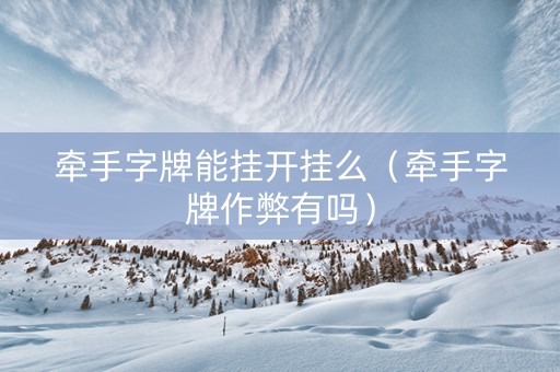 牵手字牌能挂开挂么（牵手字牌作弊有吗）