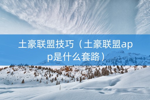 土豪联盟技巧（土豪联盟app是什么套路）
