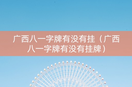 广西八一字牌有没有挂（广西八一字牌有没有挂牌）