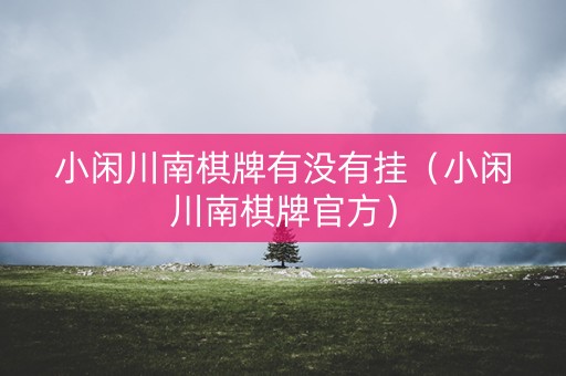 小闲川南棋牌有没有挂（小闲川南棋牌官方）