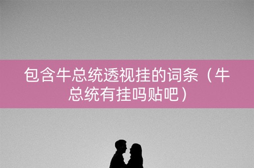 包含牛总统透视挂的词条（牛总统有挂吗贴吧）