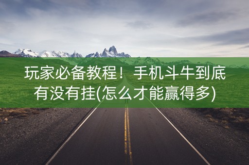 玩家必备教程！手机斗牛到底有没有挂(怎么才能赢得多)
