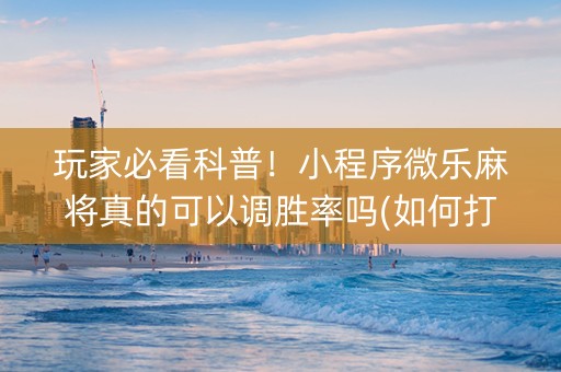 玩家必看科普！小程序微乐麻将真的可以调胜率吗(如何打赢有插件吗)