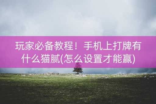 玩家必备教程！手机上打牌有什么猫腻(怎么设置才能赢)