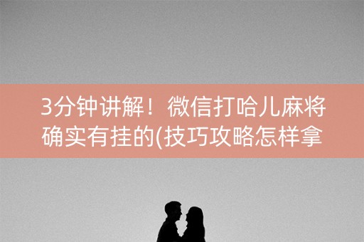 3分钟讲解！微信打哈儿麻将确实有挂的(技巧攻略怎样拿好牌)