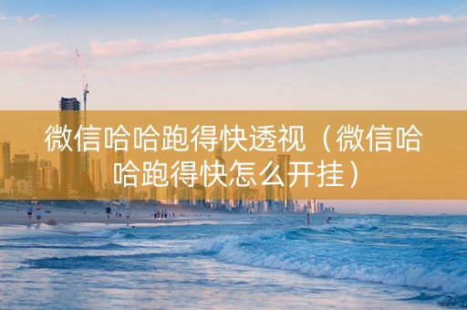 微信哈哈跑得快透视（微信哈哈跑得快怎么开挂）