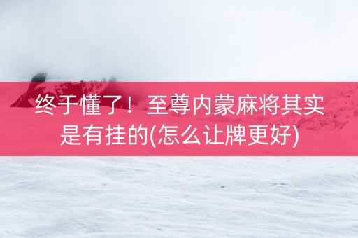 终于懂了！至尊内蒙麻将其实是有挂的(怎么让牌更好)