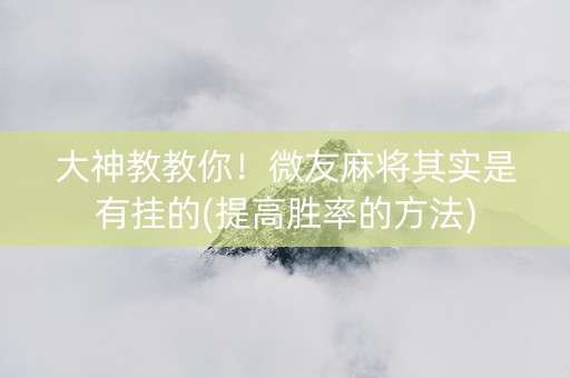 大神教教你！微友麻将其实是有挂的(提高胜率的方法)