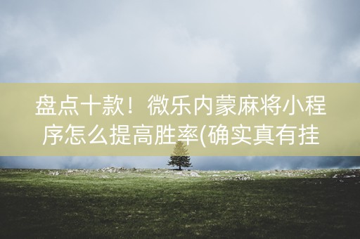 盘点十款！微乐内蒙麻将小程序怎么提高胜率(确实真有挂)