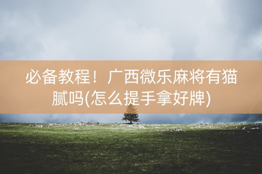 必备教程！广西微乐麻将有猫腻吗(怎么提手拿好牌)