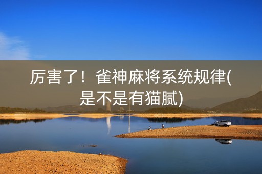 厉害了！雀神麻将系统规律(是不是有猫腻)