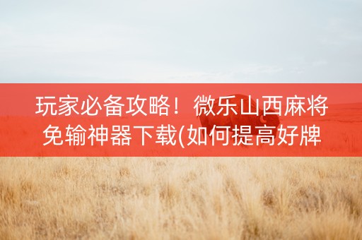 玩家必备攻略！微乐山西麻将免输神器下载(如何提高好牌几率)
