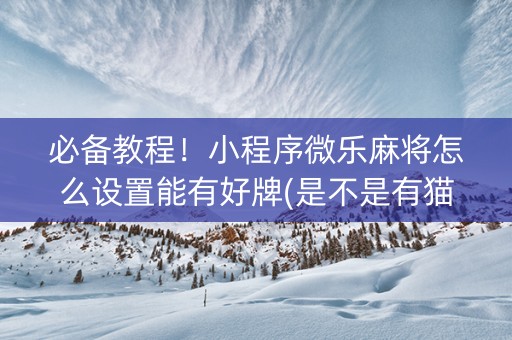 必备教程！小程序微乐麻将怎么设置能有好牌(是不是有猫腻)