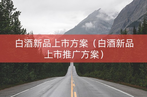 白酒新品上市方案（白酒新品上市推广方案）