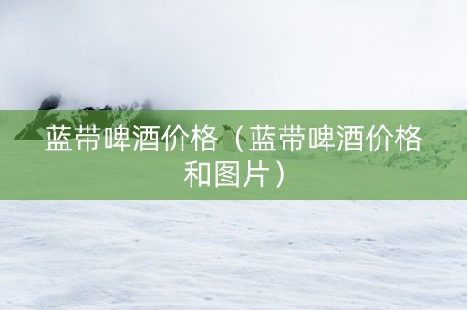 蓝带啤酒价格（蓝带啤酒价格和图片）