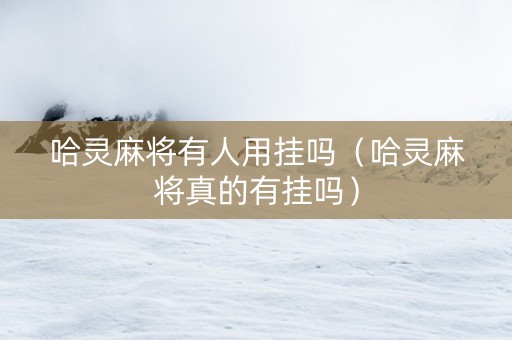 哈灵麻将有人用挂吗（哈灵麻将真的有挂吗）