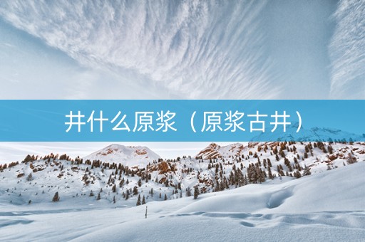 井什么原浆（原浆古井）