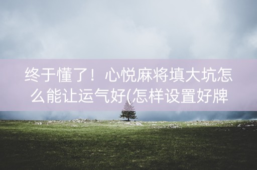 终于懂了！心悦麻将填大坑怎么能让运气好(怎样设置好牌)