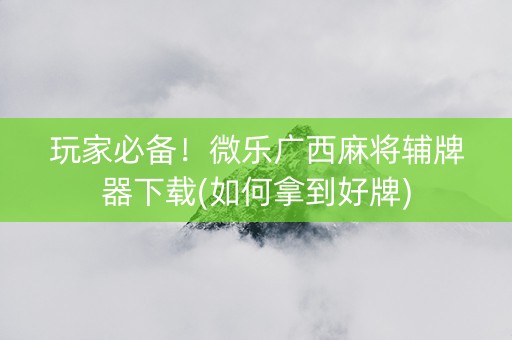 玩家必备！微乐广西麻将辅牌器下载(如何拿到好牌)