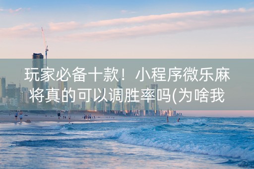 玩家必备十款！小程序微乐麻将真的可以调胜率吗(为啥我总是输)