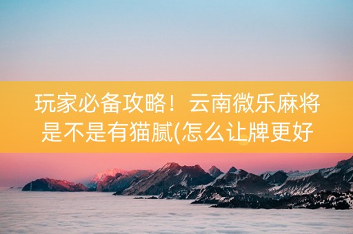 玩家必备攻略！云南微乐麻将是不是有猫腻(怎么让牌更好)