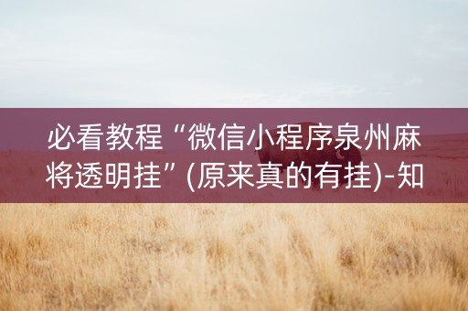 必看教程“微信小程序泉州麻将透明挂”(原来真的有挂)-知乎