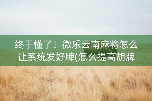 终于懂了！微乐云南麻将怎么让系统发好牌(怎么提高胡牌率)