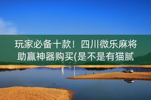 玩家必备十款！四川微乐麻将助赢神器购买(是不是有猫腻)