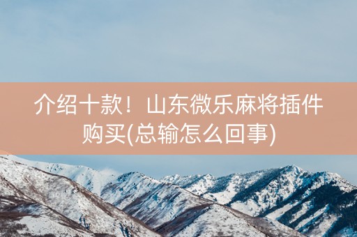 介绍十款！山东微乐麻将插件购买(总输怎么回事)