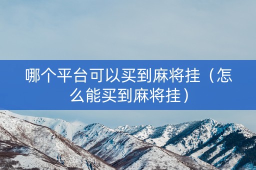 哪个平台可以买到麻将挂（怎么能买到麻将挂）
