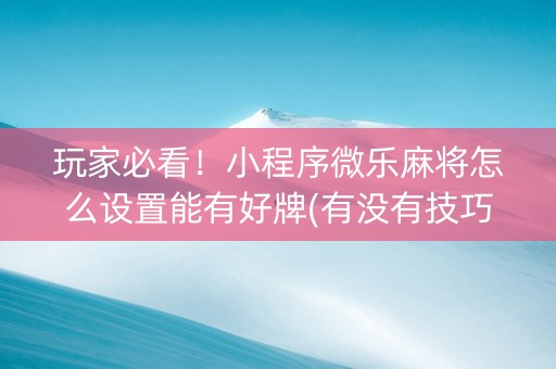 玩家必看！小程序微乐麻将怎么设置能有好牌(有没有技巧)