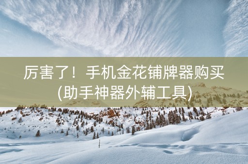 厉害了！手机金花铺牌器购买(助手神器外辅工具)