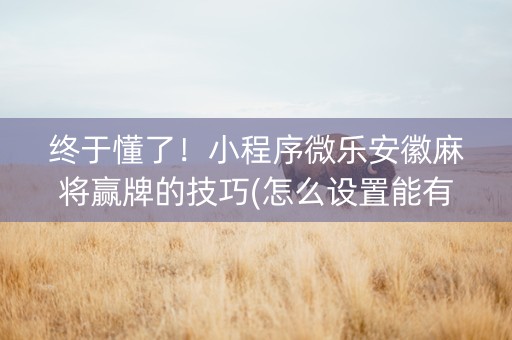 终于懂了！小程序微乐安徽麻将赢牌的技巧(怎么设置能有好牌)