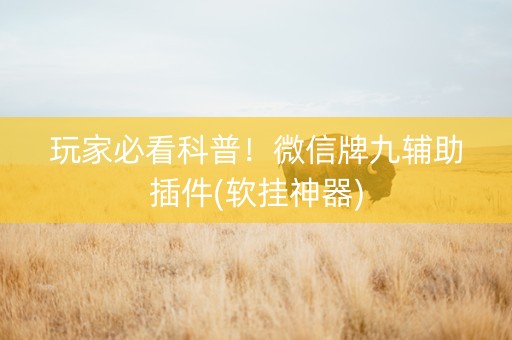 玩家必看科普！微信牌九辅助插件(软挂神器)