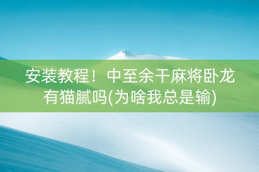 安装教程！中至余干麻将卧龙有猫腻吗(为啥我总是输)