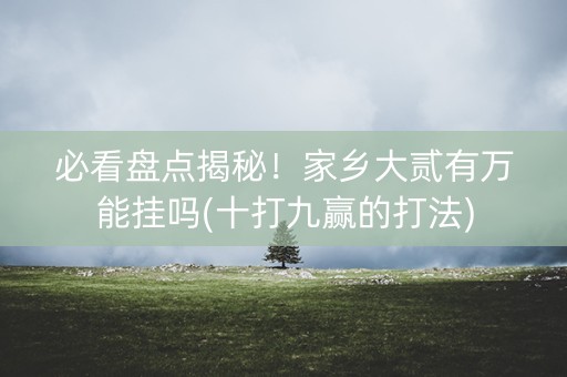 必看盘点揭秘！家乡大贰有万能挂吗(十打九赢的打法)