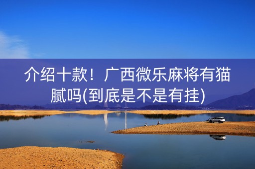 介绍十款！广西微乐麻将有猫腻吗(到底是不是有挂)