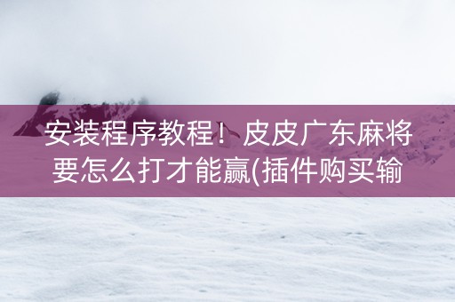 安装程序教程！皮皮广东麻将要怎么打才能赢(插件购买输赢规律)