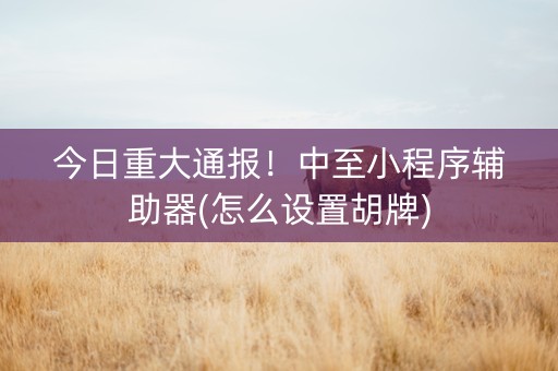 今日重大通报！中至小程序辅助器(怎么设置胡牌)