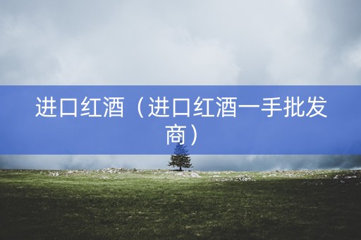 进口红酒（进口红酒一手批发商）