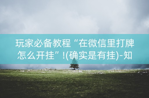 玩家必备教程“在微信里打牌怎么开挂”!(确实是有挂)-知乎