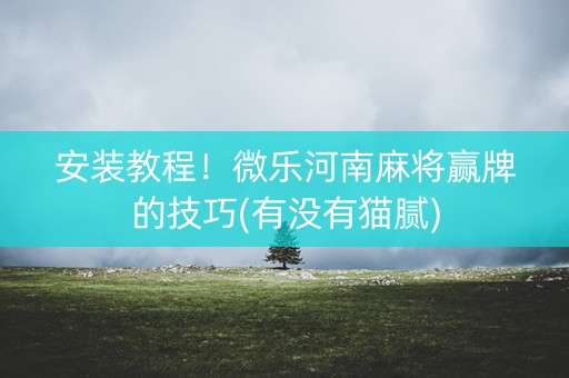 安装教程！微乐河南麻将赢牌的技巧(有没有猫腻)