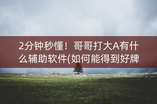 2分钟秒懂！哥哥打大A有什么辅助软件(如何能得到好牌)