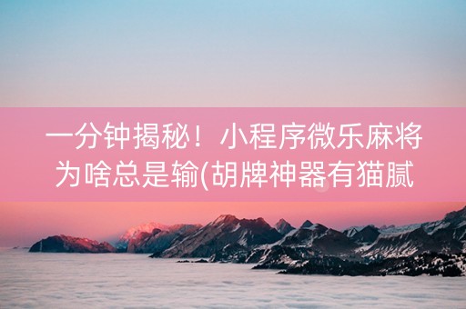 一分钟揭秘！小程序微乐麻将为啥总是输(胡牌神器有猫腻吗)