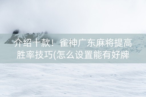 介绍十款！雀神广东麻将提高胜率技巧(怎么设置能有好牌)