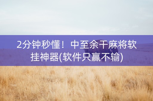 2分钟秒懂！中至余干麻将软挂神器(软件只赢不输)