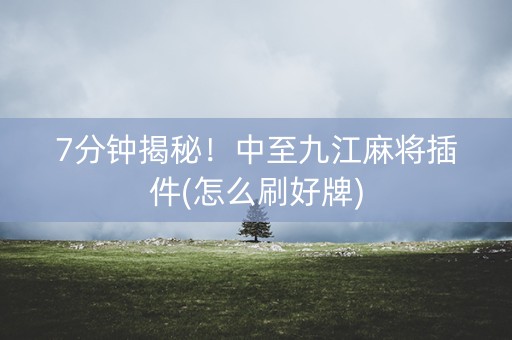 7分钟揭秘！中至九江麻将插件(怎么刷好牌)