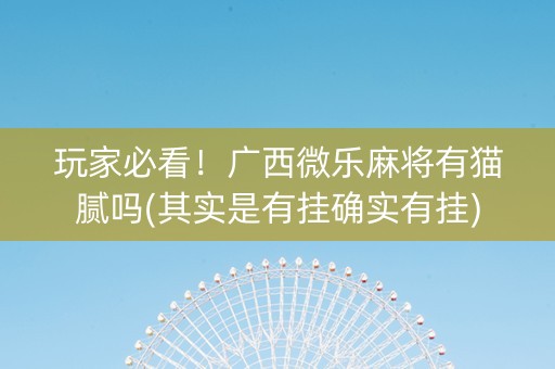 玩家必看！广西微乐麻将有猫腻吗(其实是有挂确实有挂)